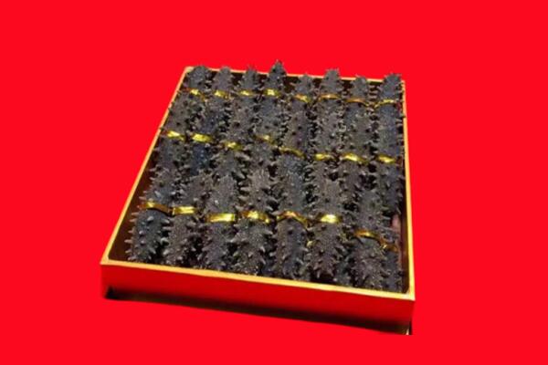 1692584354699998.jpg